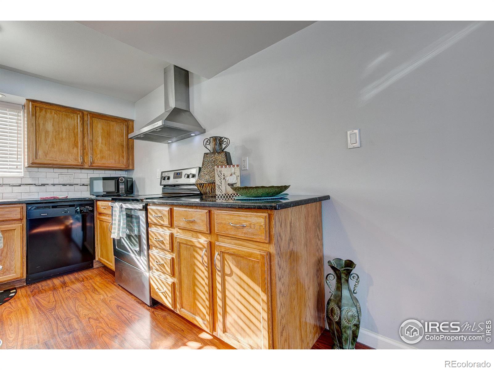 MLS Image #20 for 219  chestnut street,windsor, Colorado