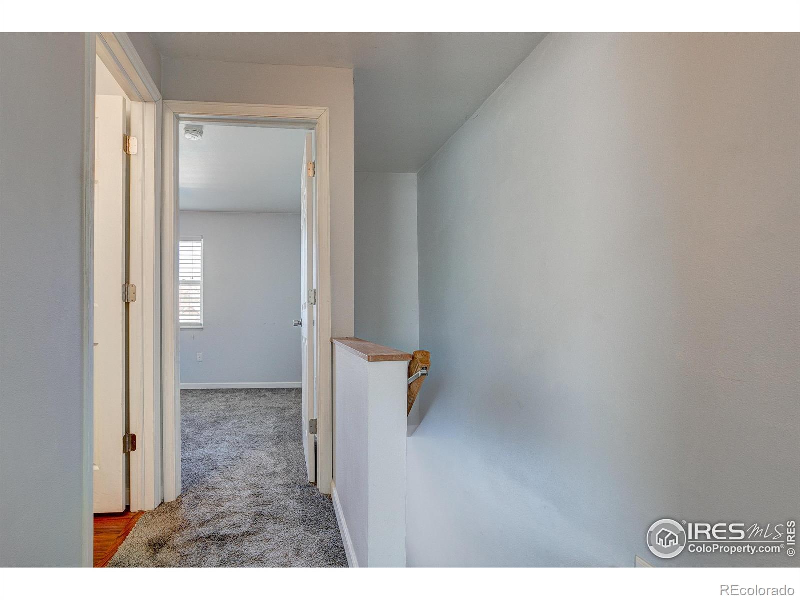 MLS Image #22 for 219  chestnut street,windsor, Colorado