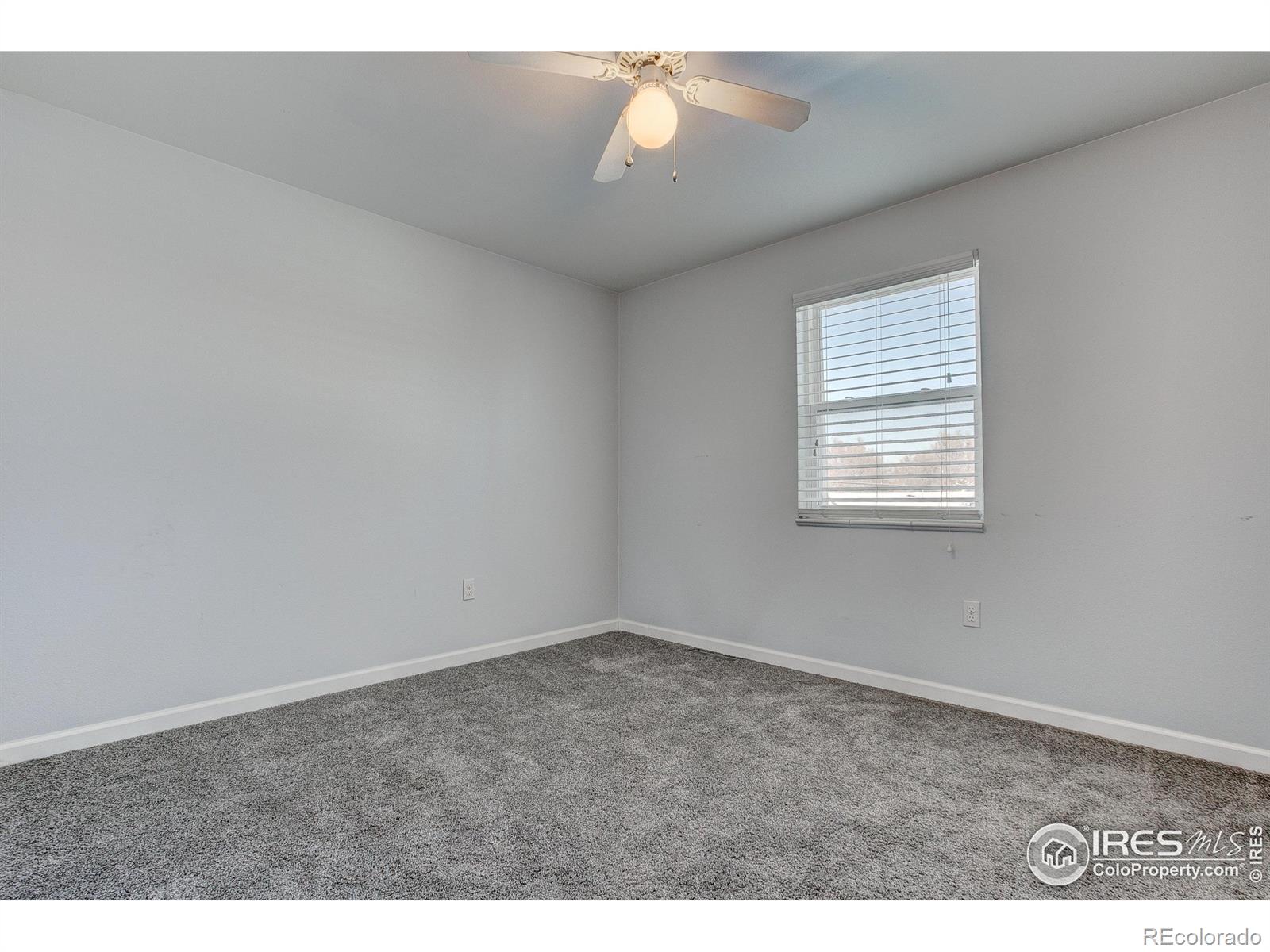 MLS Image #28 for 219  chestnut street,windsor, Colorado