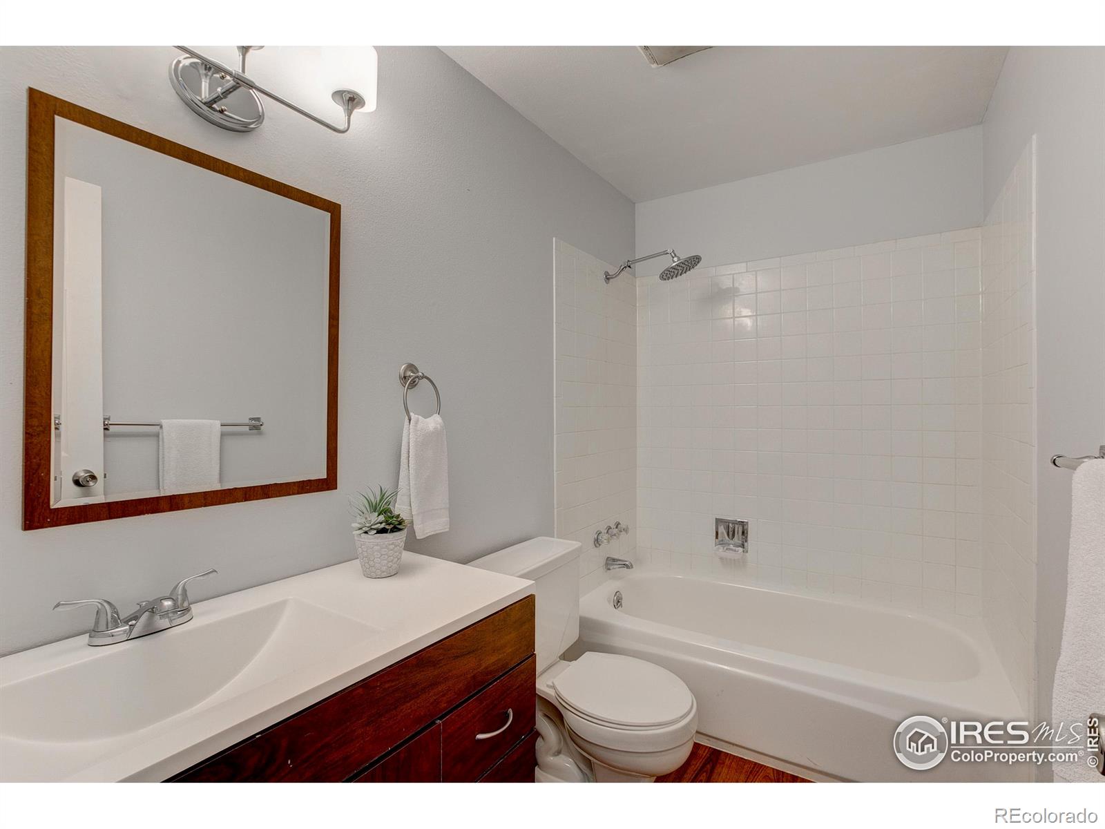 MLS Image #29 for 219  chestnut street,windsor, Colorado