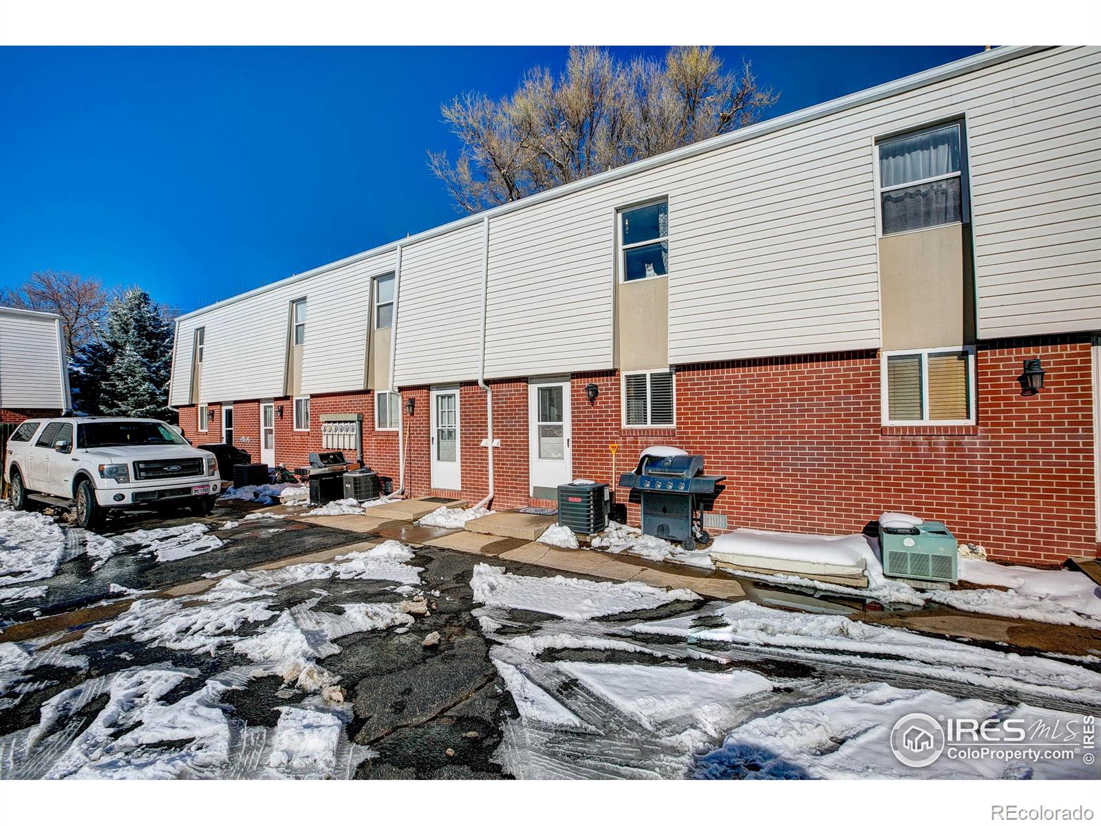 MLS Image #4 for 219  chestnut street,windsor, Colorado