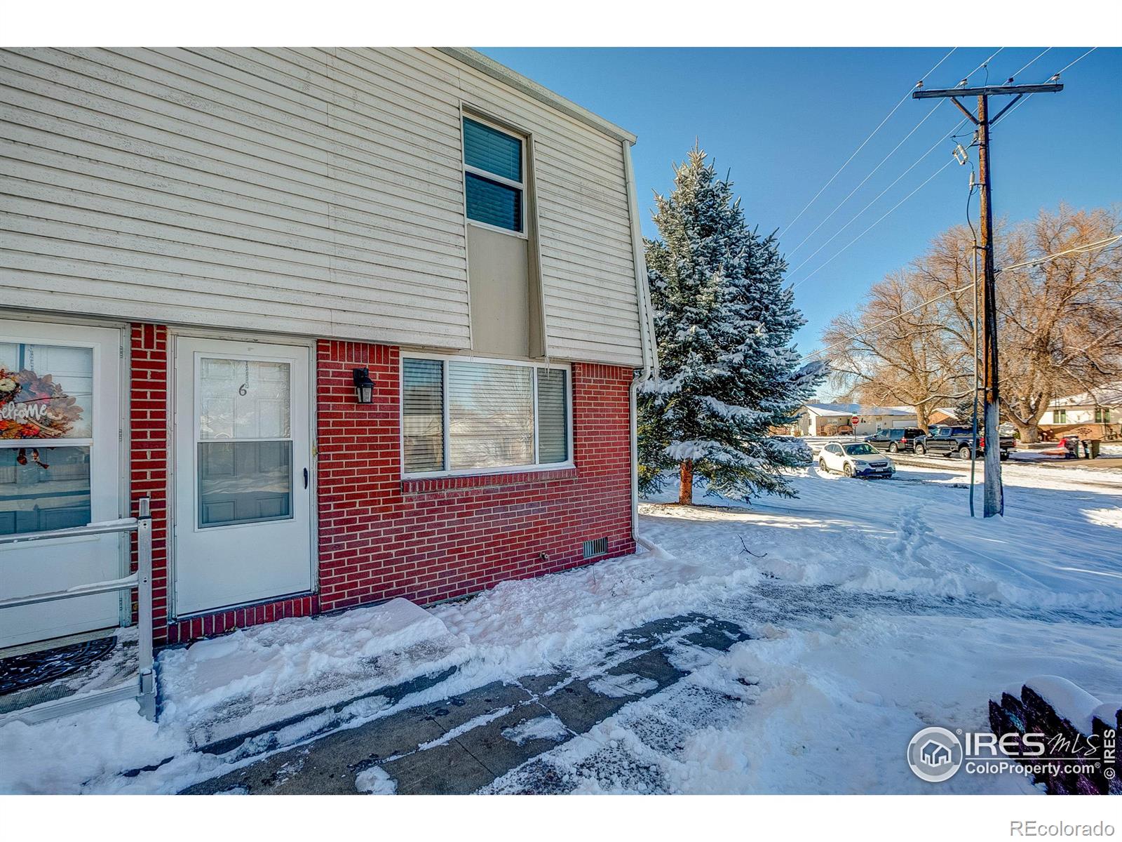 MLS Image #5 for 219  chestnut street,windsor, Colorado