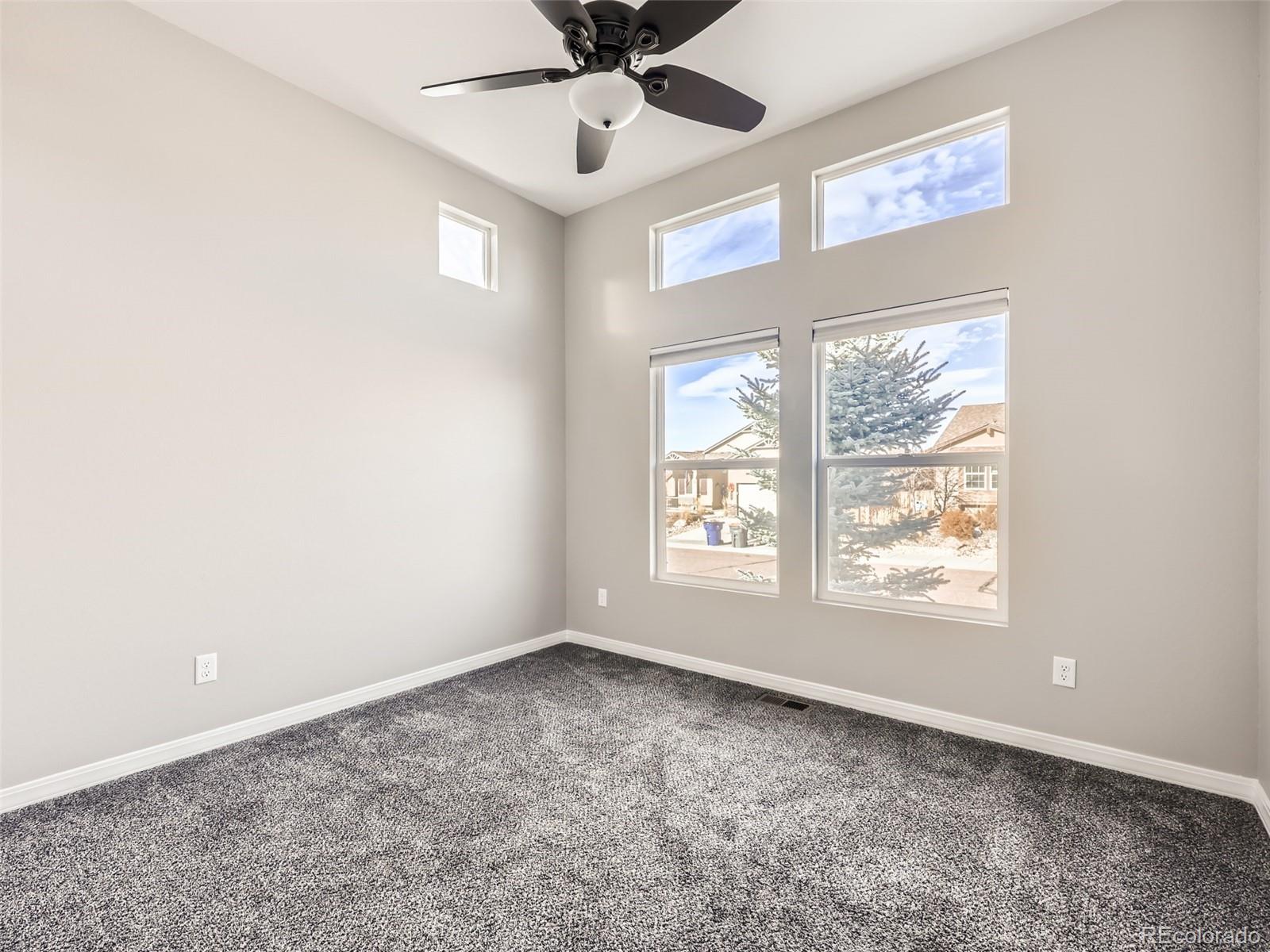 MLS Image #13 for 7164  mustang rim drive,colorado springs, Colorado