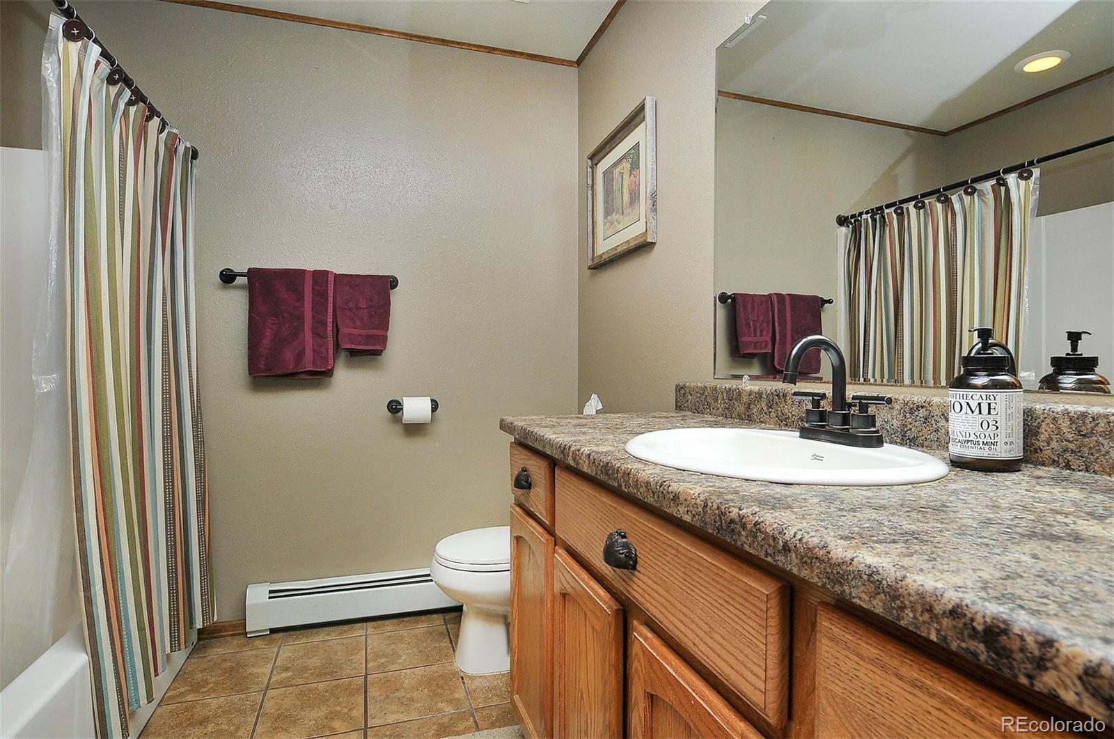 MLS Image #28 for 112  red tail boulevard,buena vista, Colorado