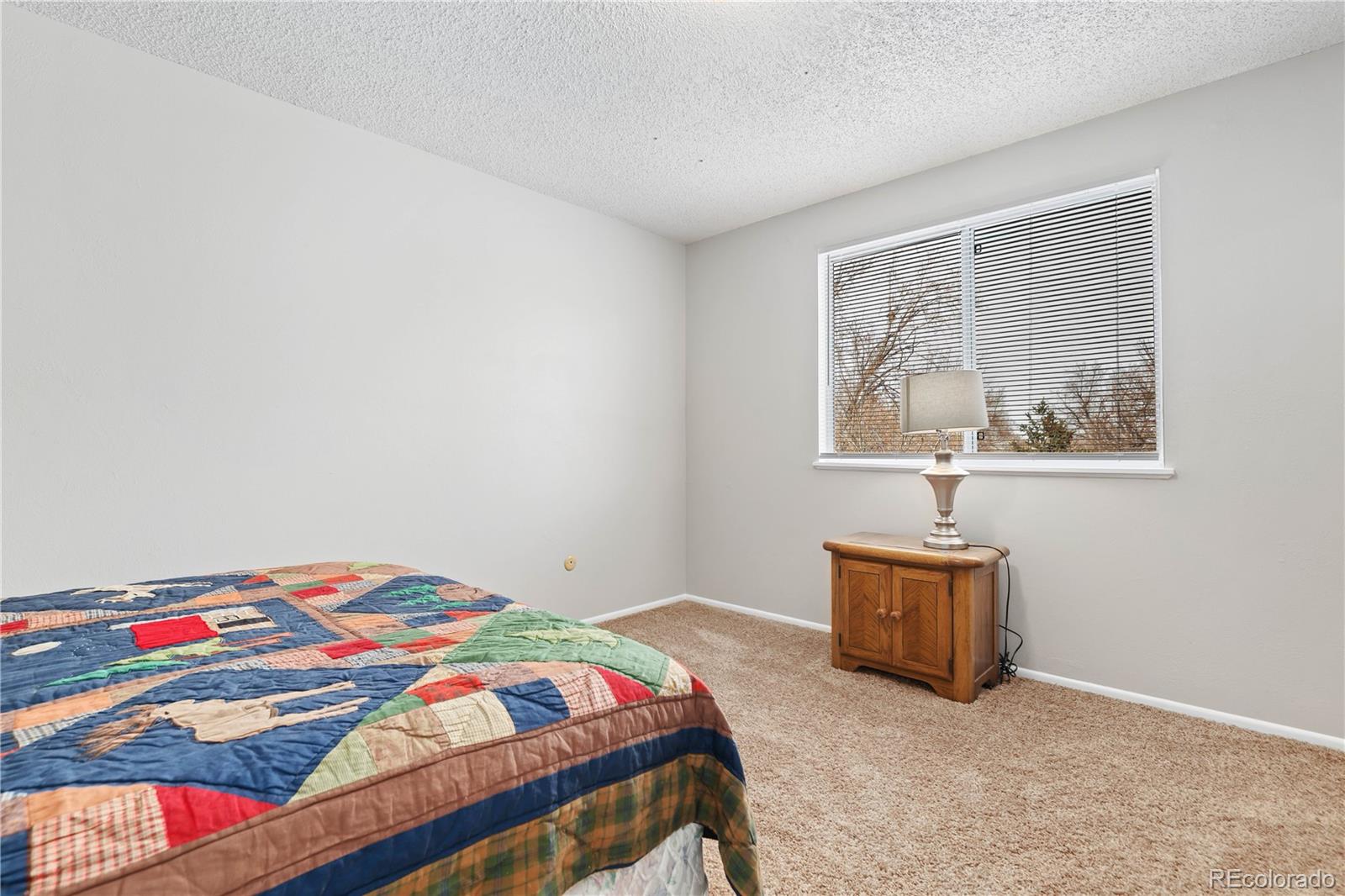 MLS Image #10 for 16861 e brown place,aurora, Colorado