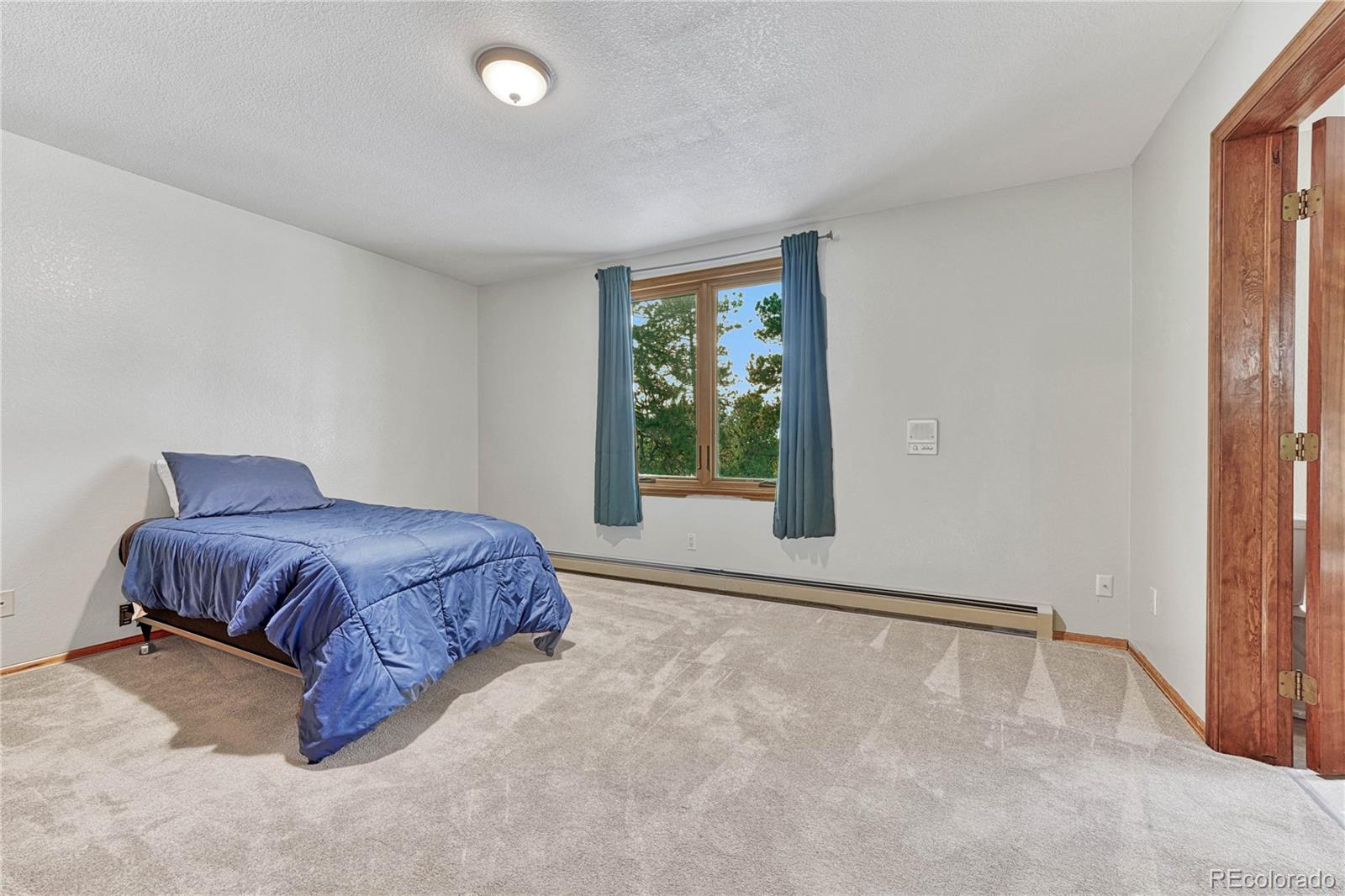 MLS Image #31 for 515  woodmoor drive,monument, Colorado