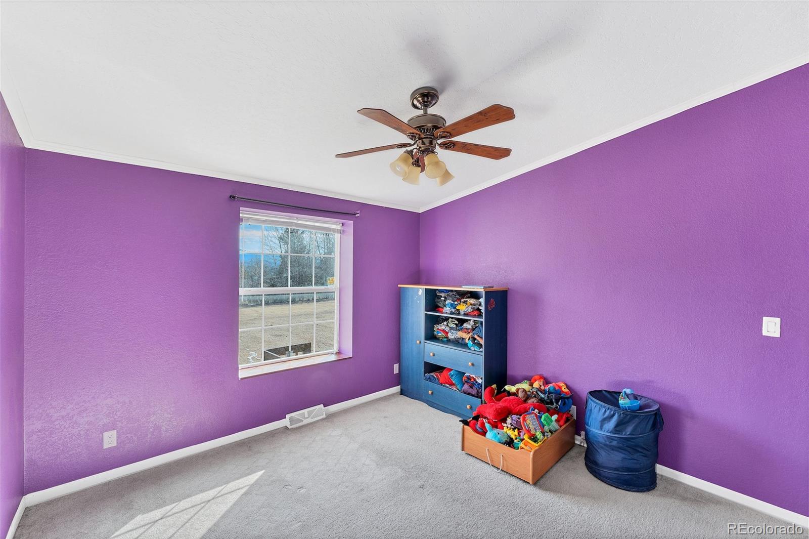 MLS Image #17 for 105  shavano drive,florissant, Colorado