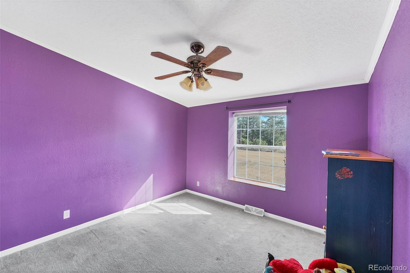 MLS Image #19 for 105  shavano drive,florissant, Colorado