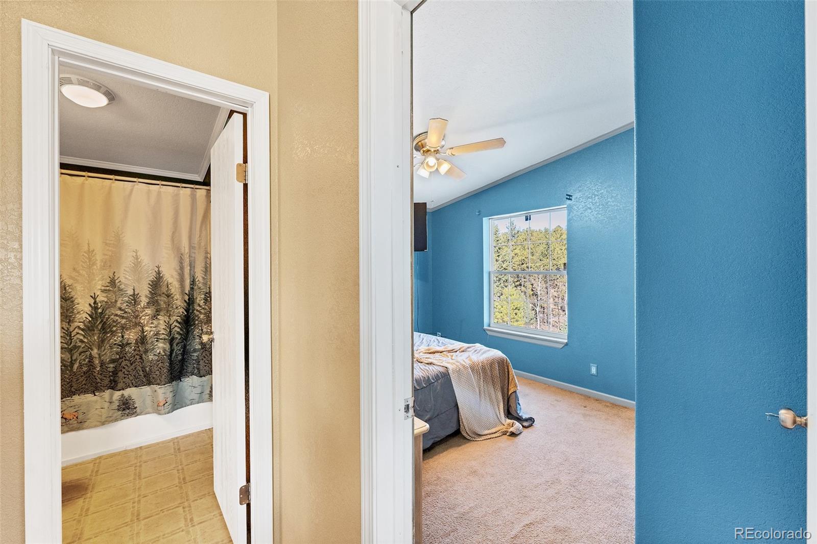 MLS Image #23 for 105  shavano drive,florissant, Colorado