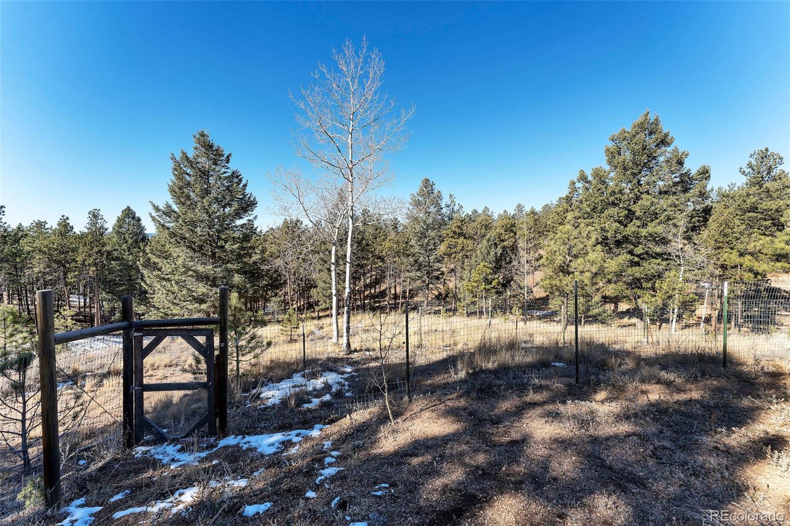 MLS Image #28 for 105  shavano drive,florissant, Colorado