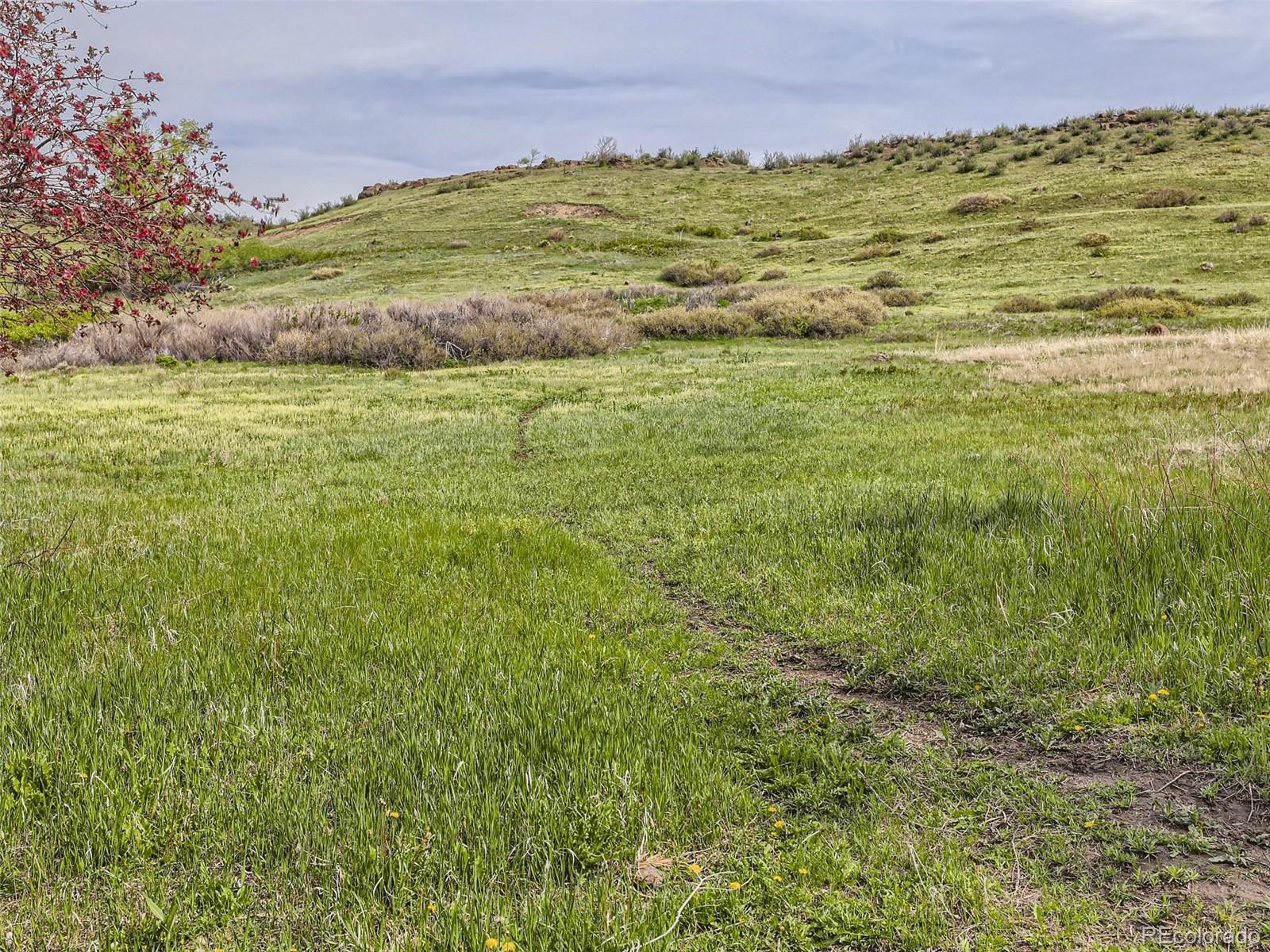 MLS Image #27 for 16823 w 16th place ,golden, Colorado