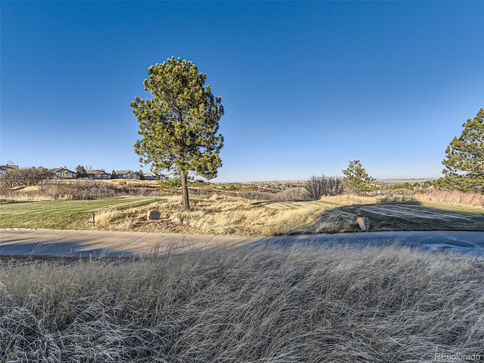 MLS Image #40 for 1263  buffalo ridge road,castle pines, Colorado