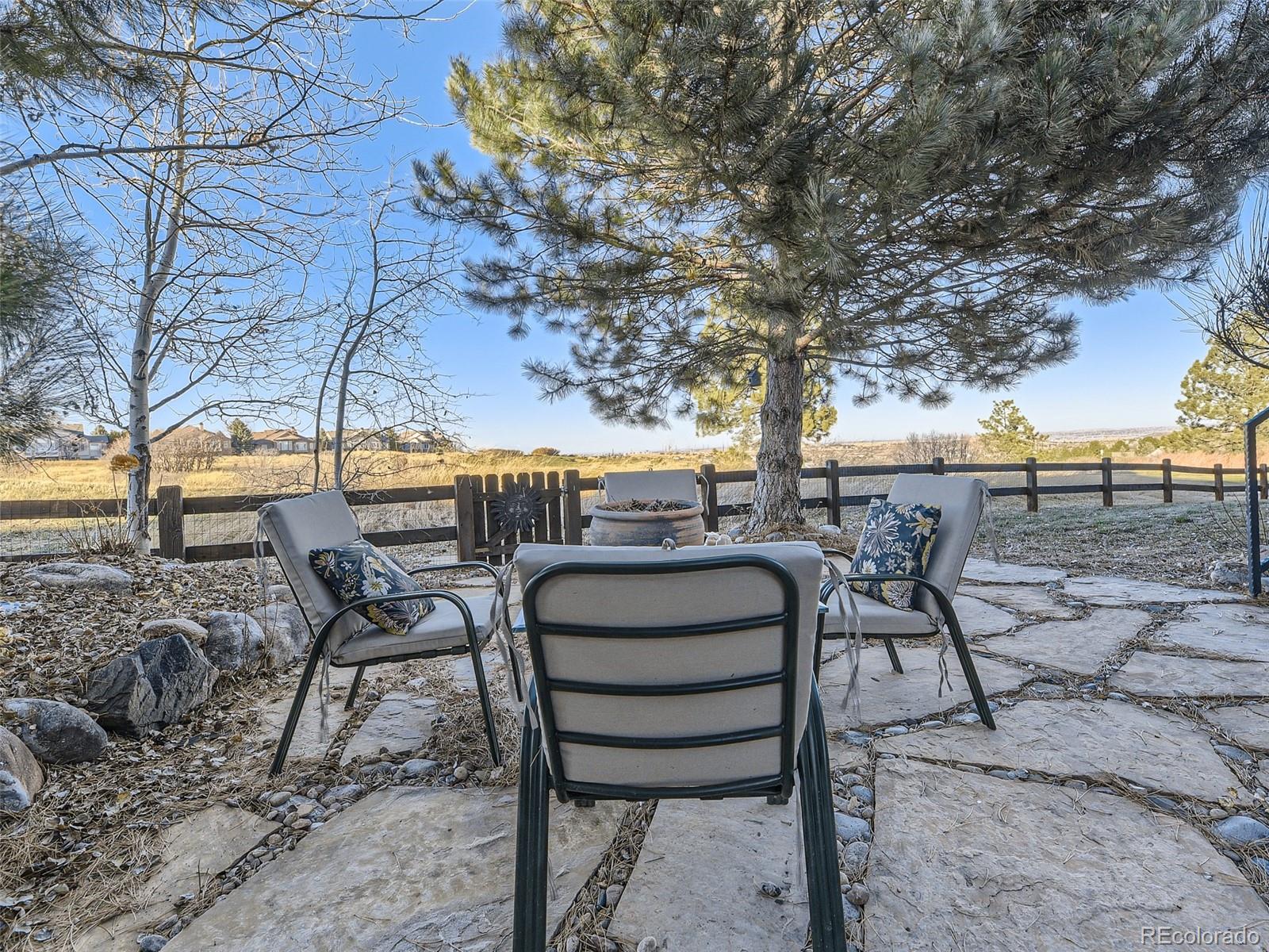 MLS Image #41 for 1263  buffalo ridge road,castle pines, Colorado