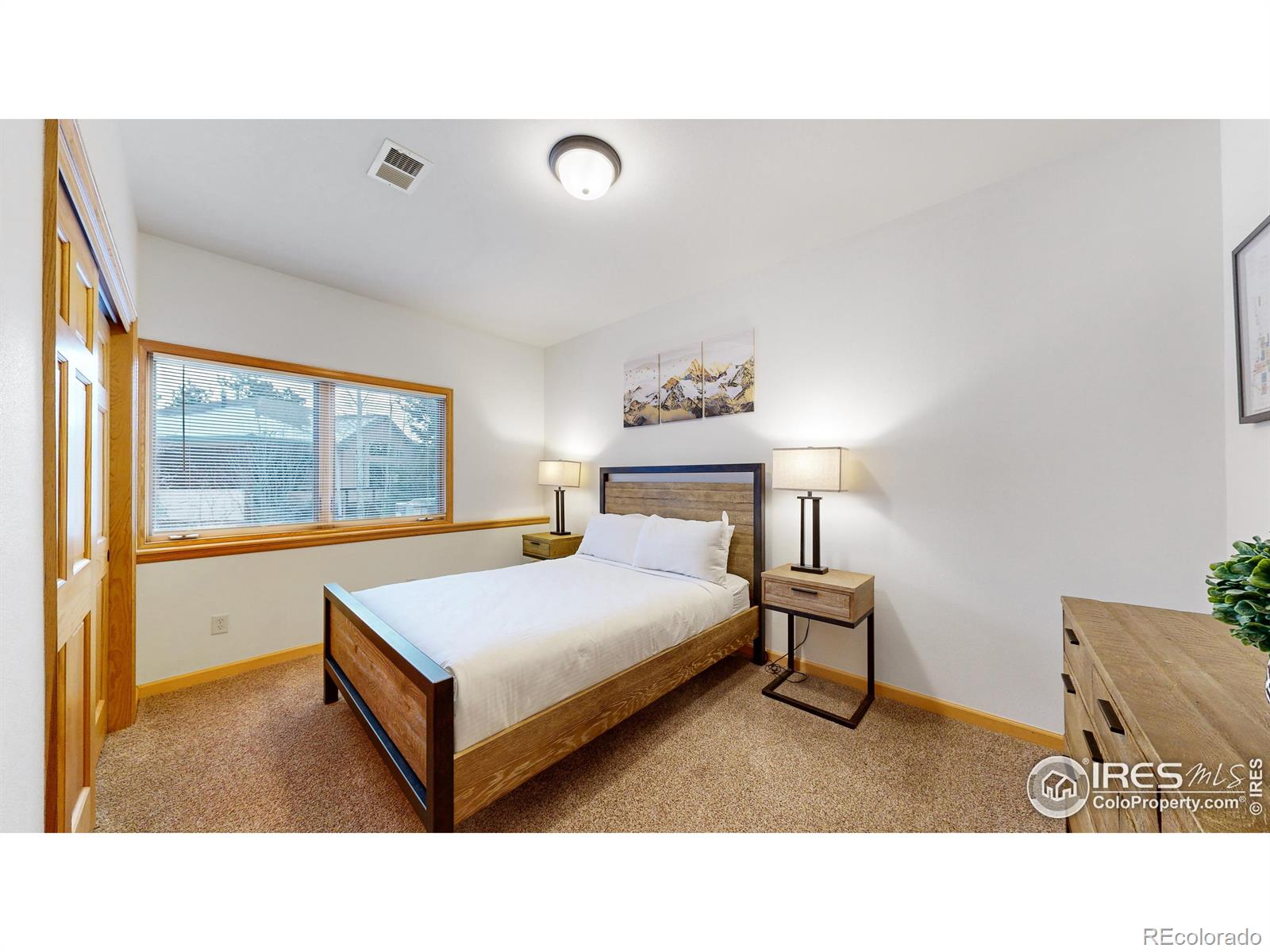 MLS Image #11 for 412  overlook court,estes park, Colorado