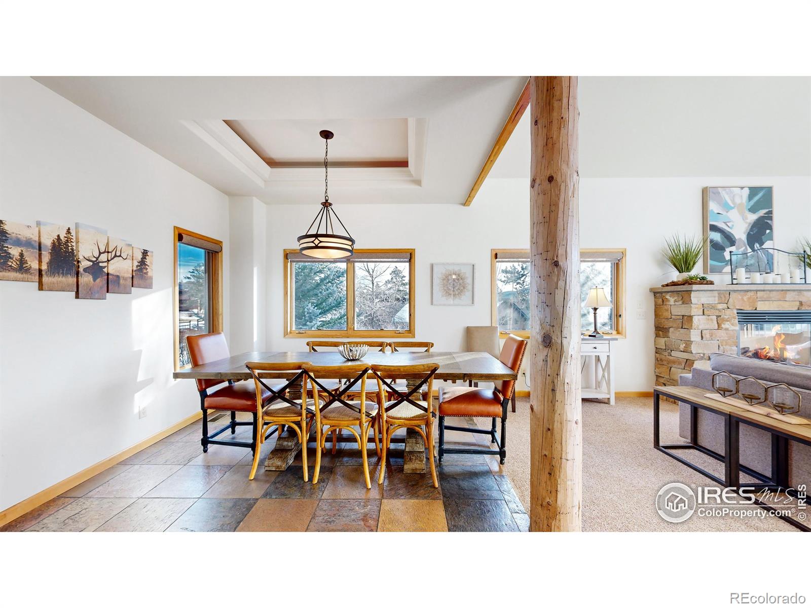 MLS Image #21 for 412  overlook court,estes park, Colorado