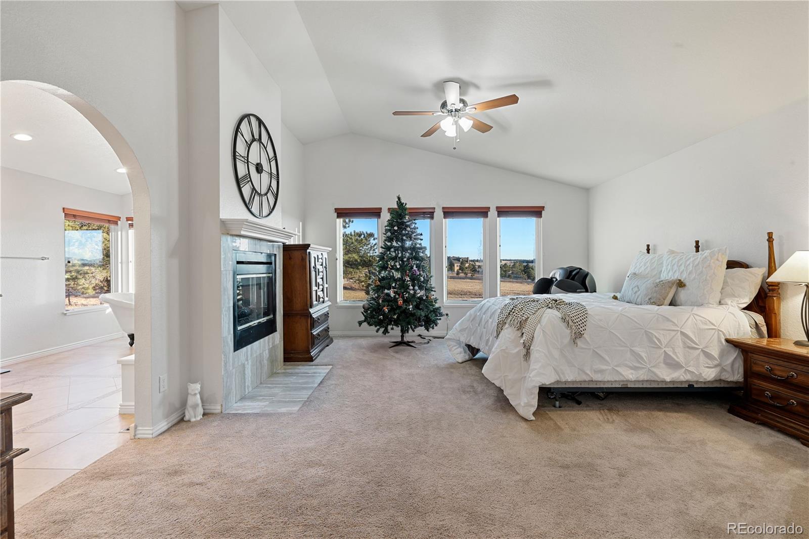 MLS Image #15 for 15824  el dorado way,larkspur, Colorado