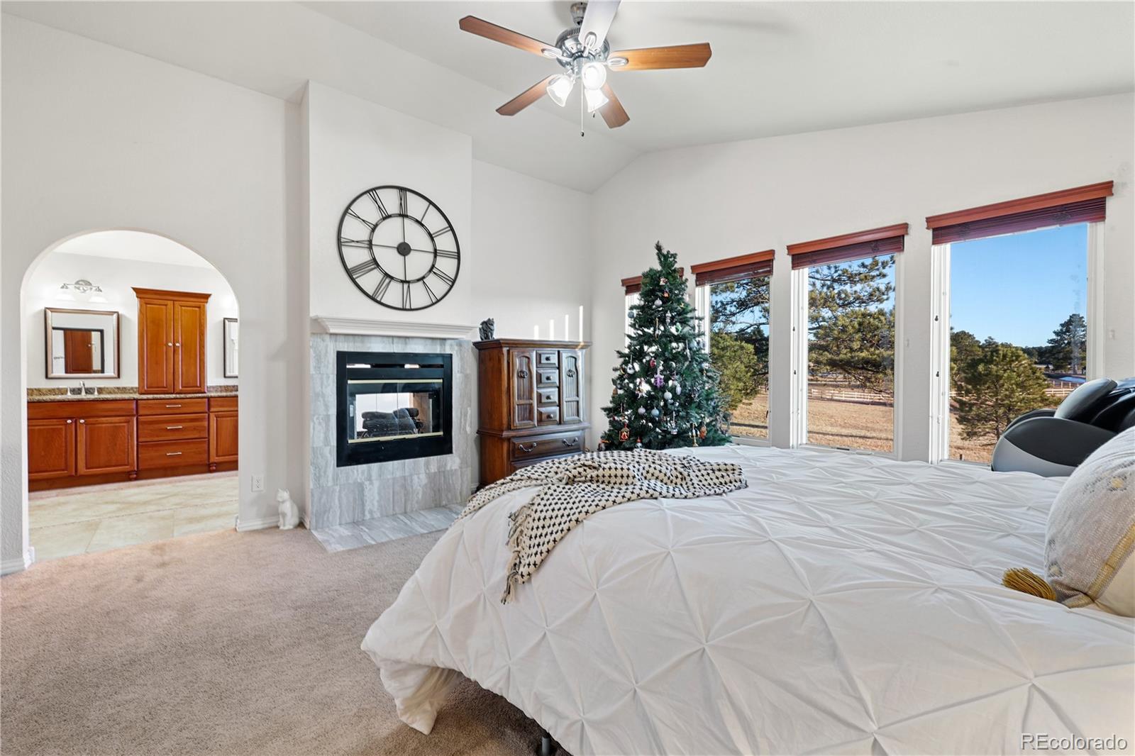 MLS Image #17 for 15824  el dorado way,larkspur, Colorado