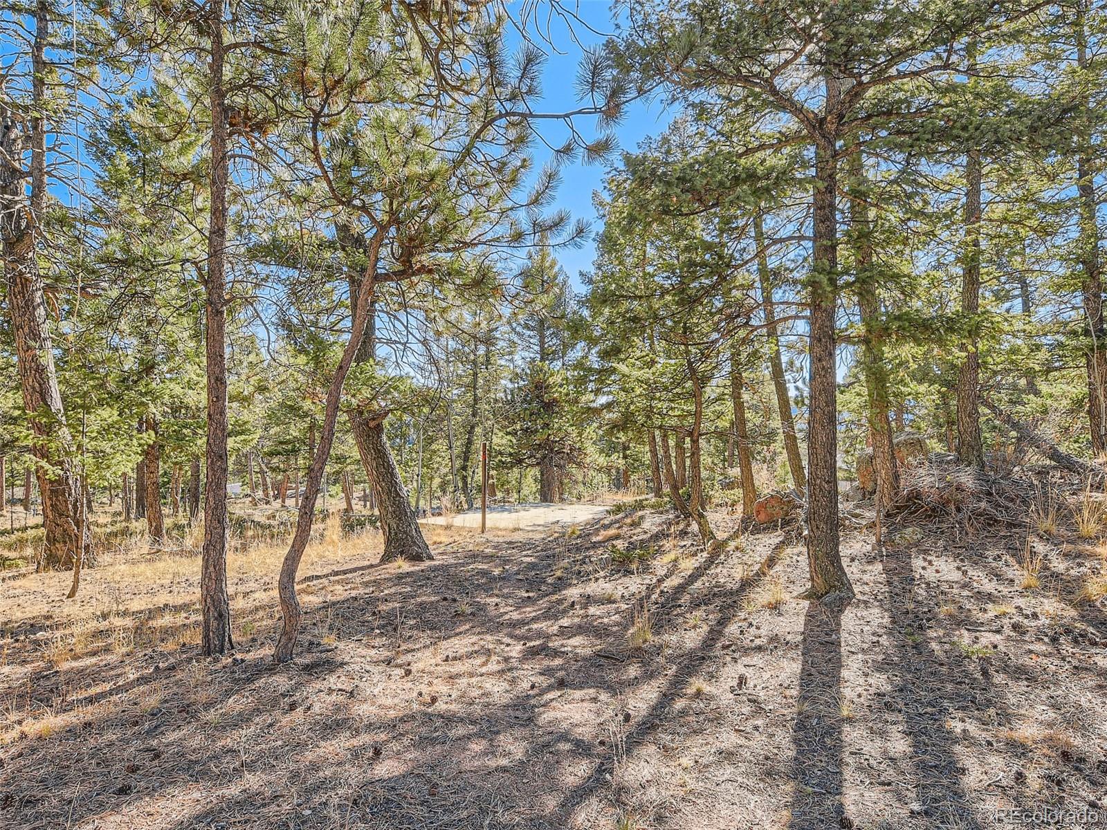 MLS Image #21 for 30683  kings valley drive,conifer, Colorado