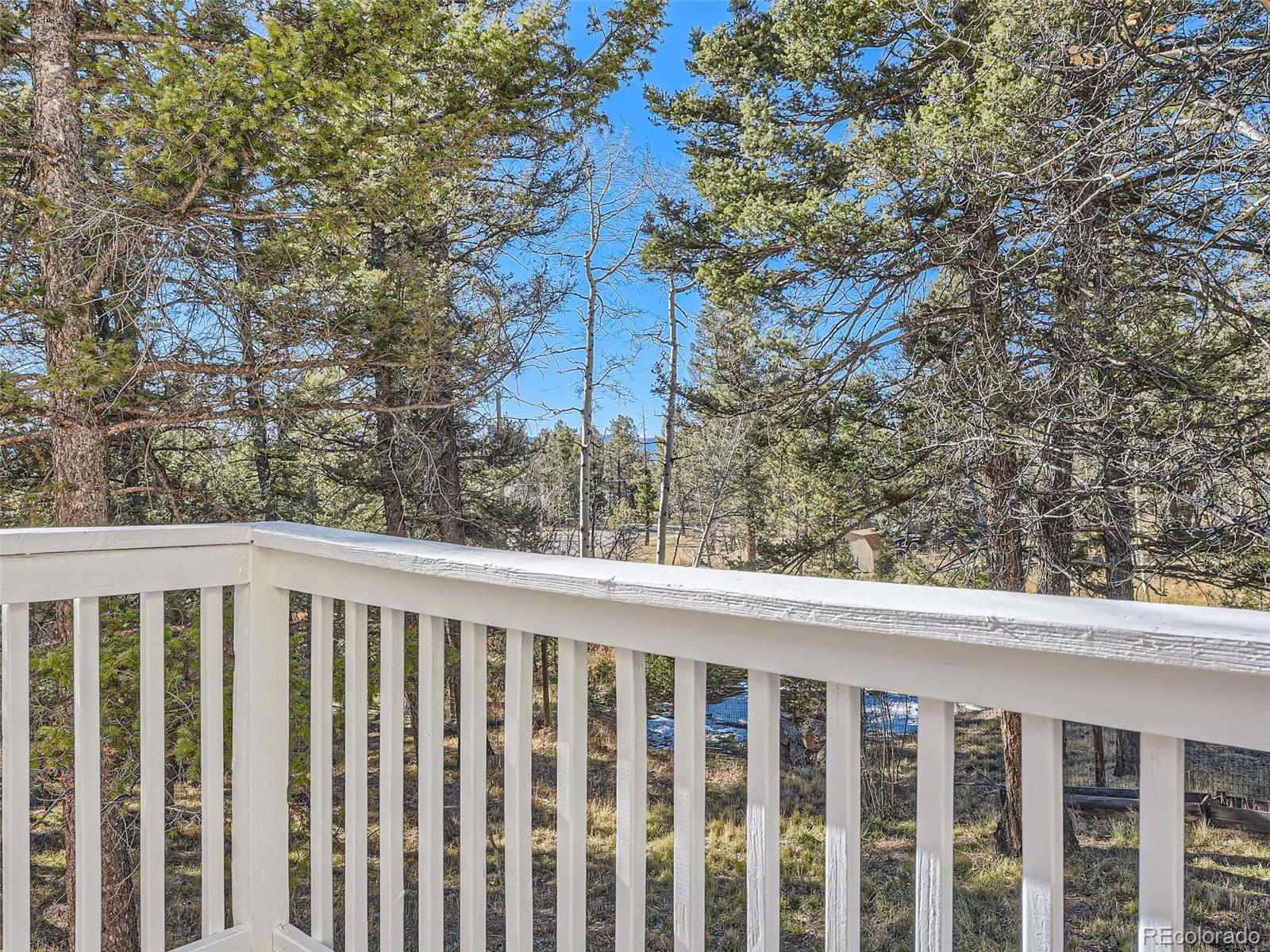 MLS Image #23 for 30683  kings valley drive,conifer, Colorado