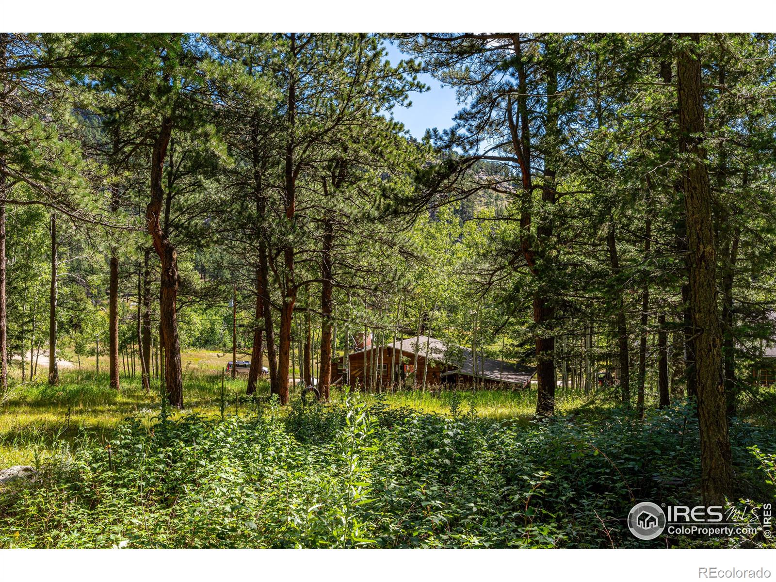 MLS Image #31 for 177  cedar drive,lyons, Colorado