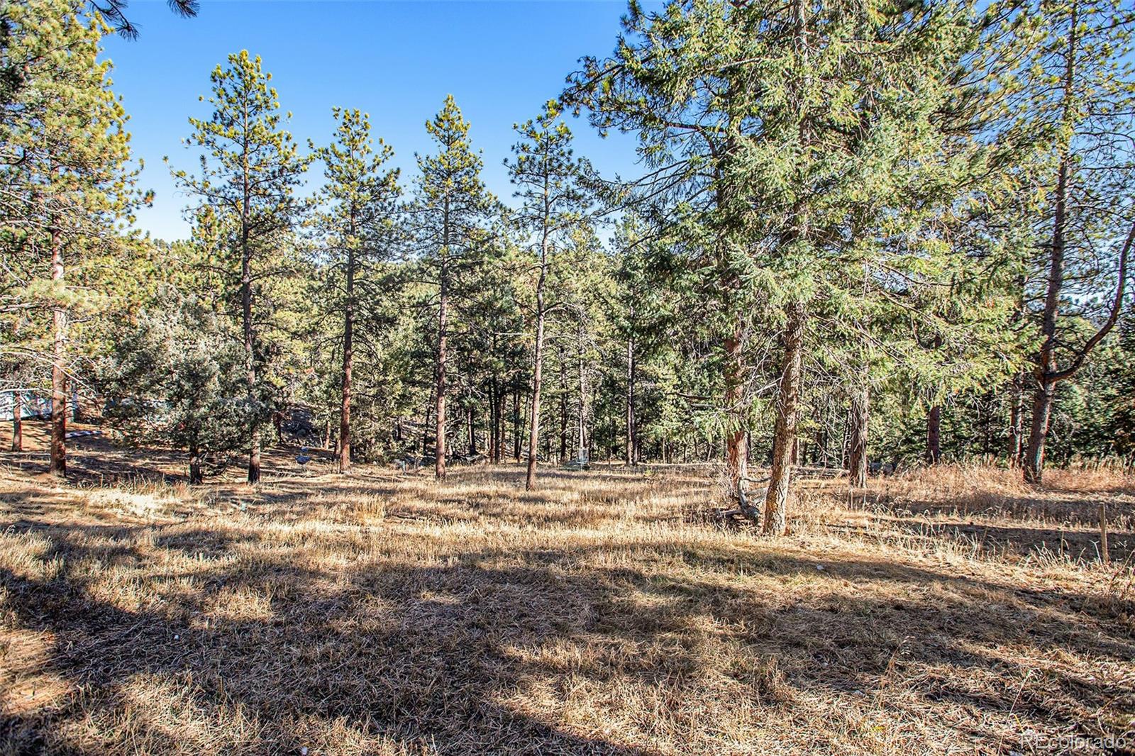 MLS Image #28 for 476 n hill drive,bailey, Colorado