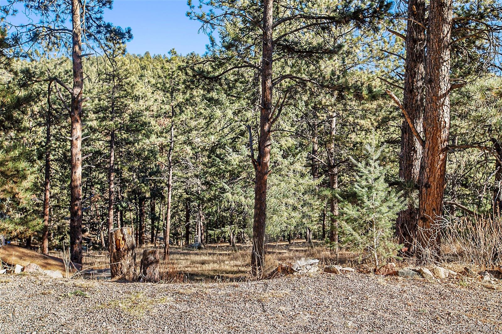 MLS Image #30 for 476 n hill drive,bailey, Colorado
