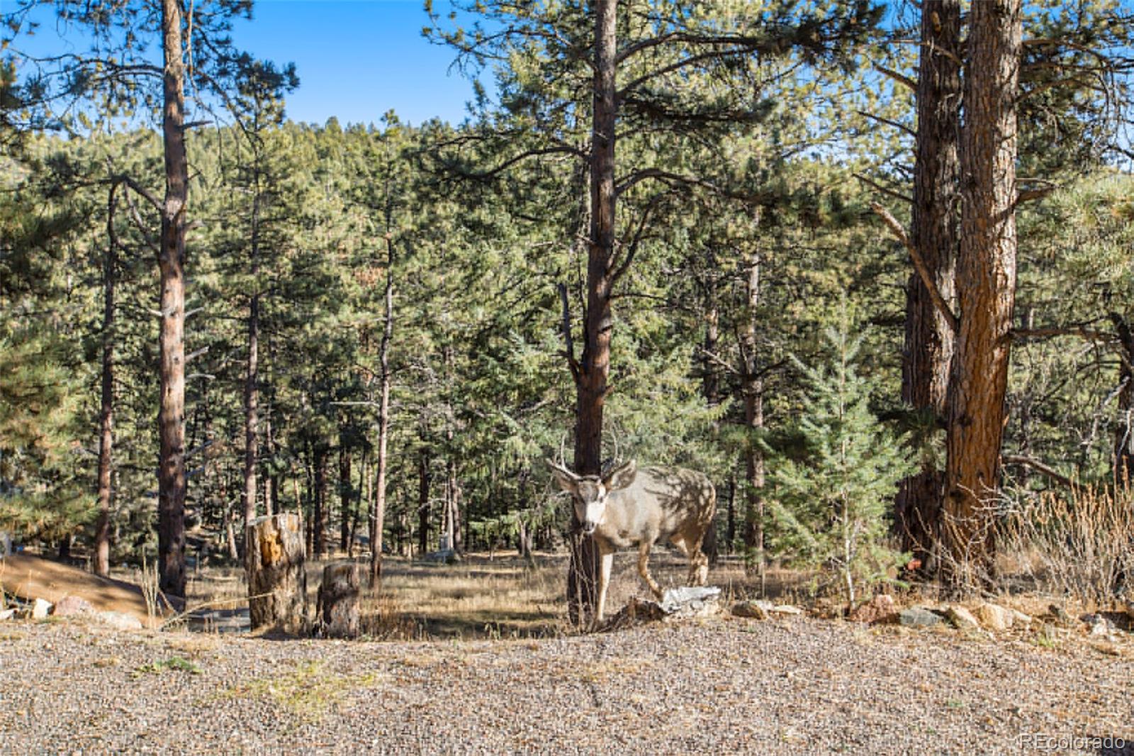 MLS Image #31 for 476 n hill drive,bailey, Colorado