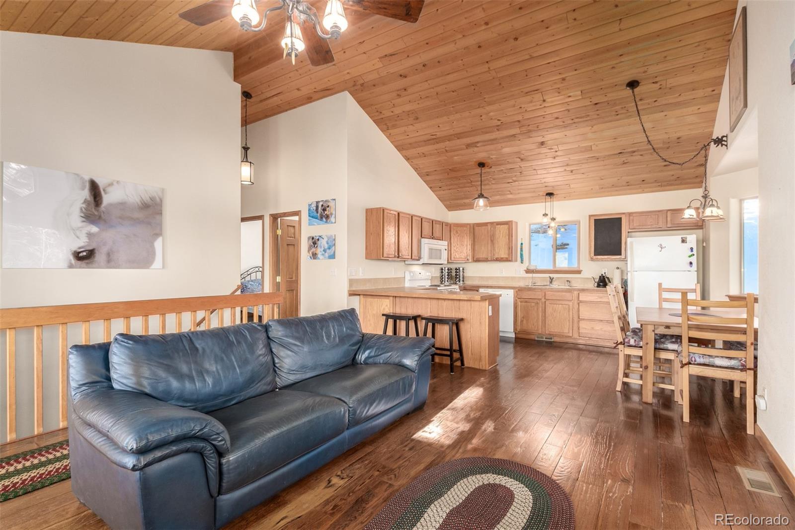 MLS Image #9 for 300  palomino road,jefferson, Colorado