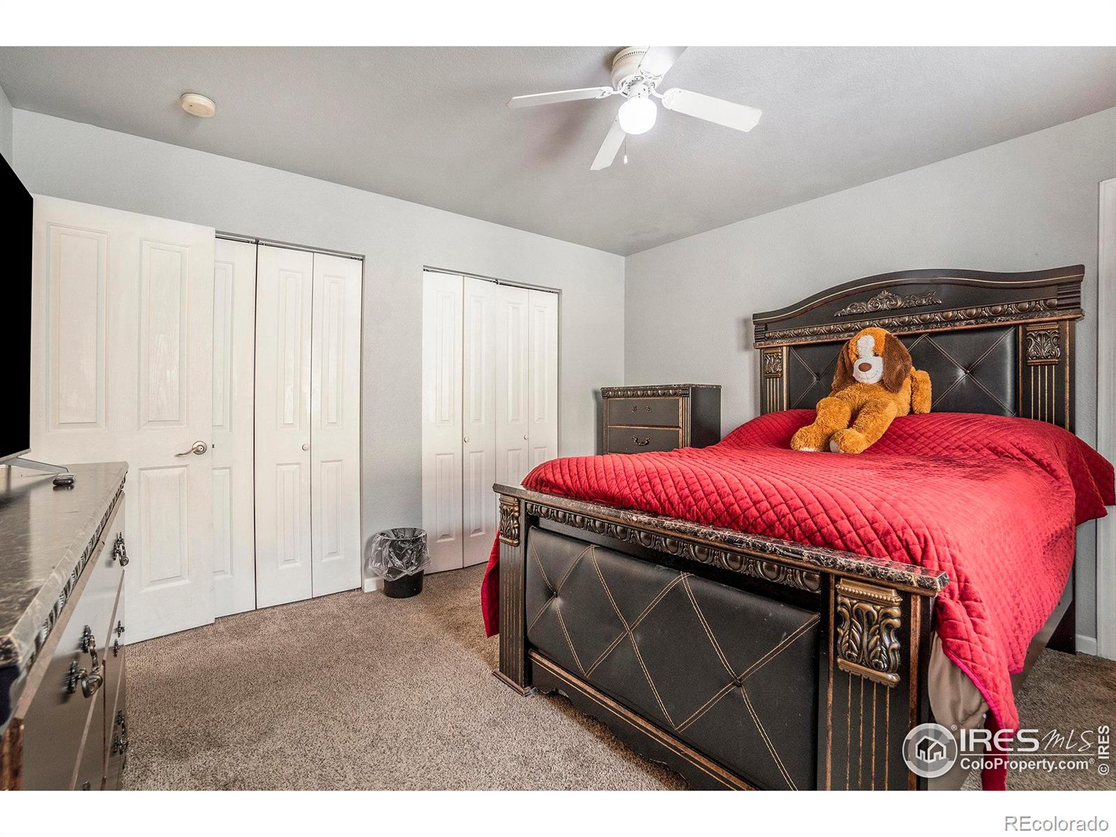 MLS Image #10 for 4311  pennyroyal lane,evans, Colorado