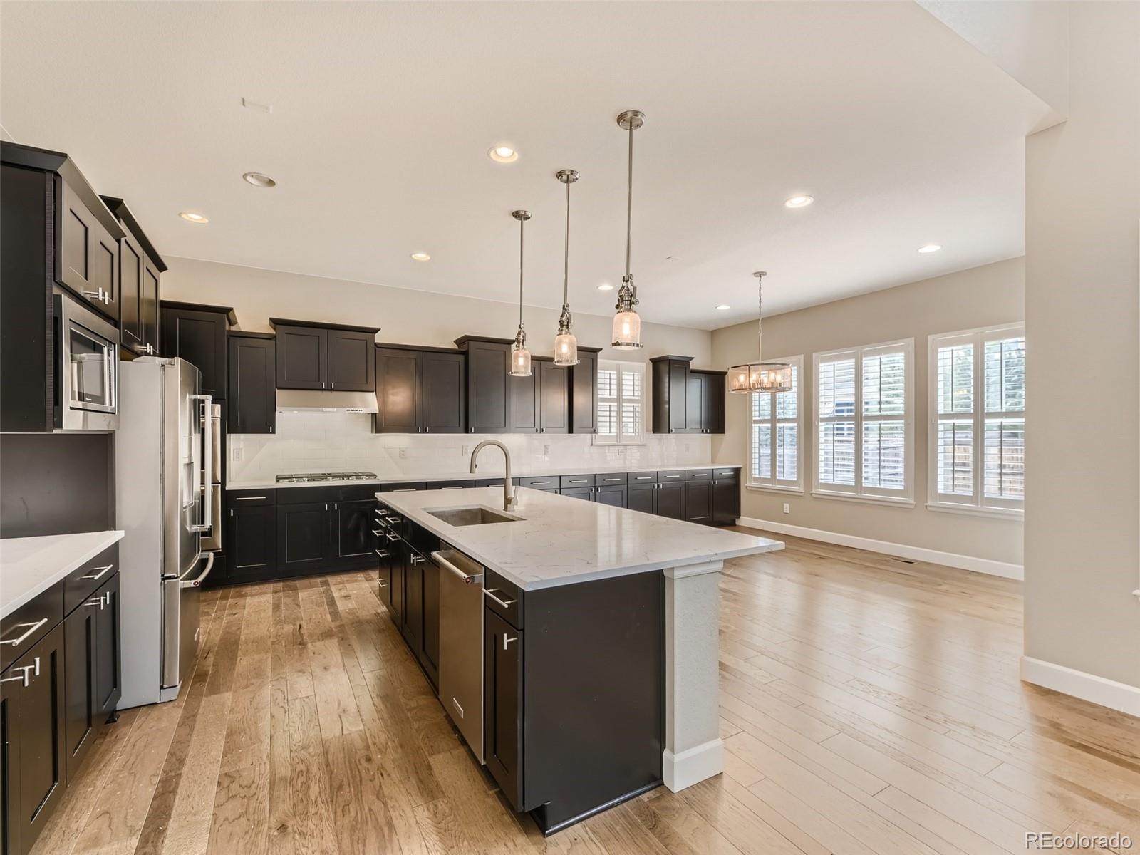 MLS Image #7 for 10251  concordia street,parker, Colorado