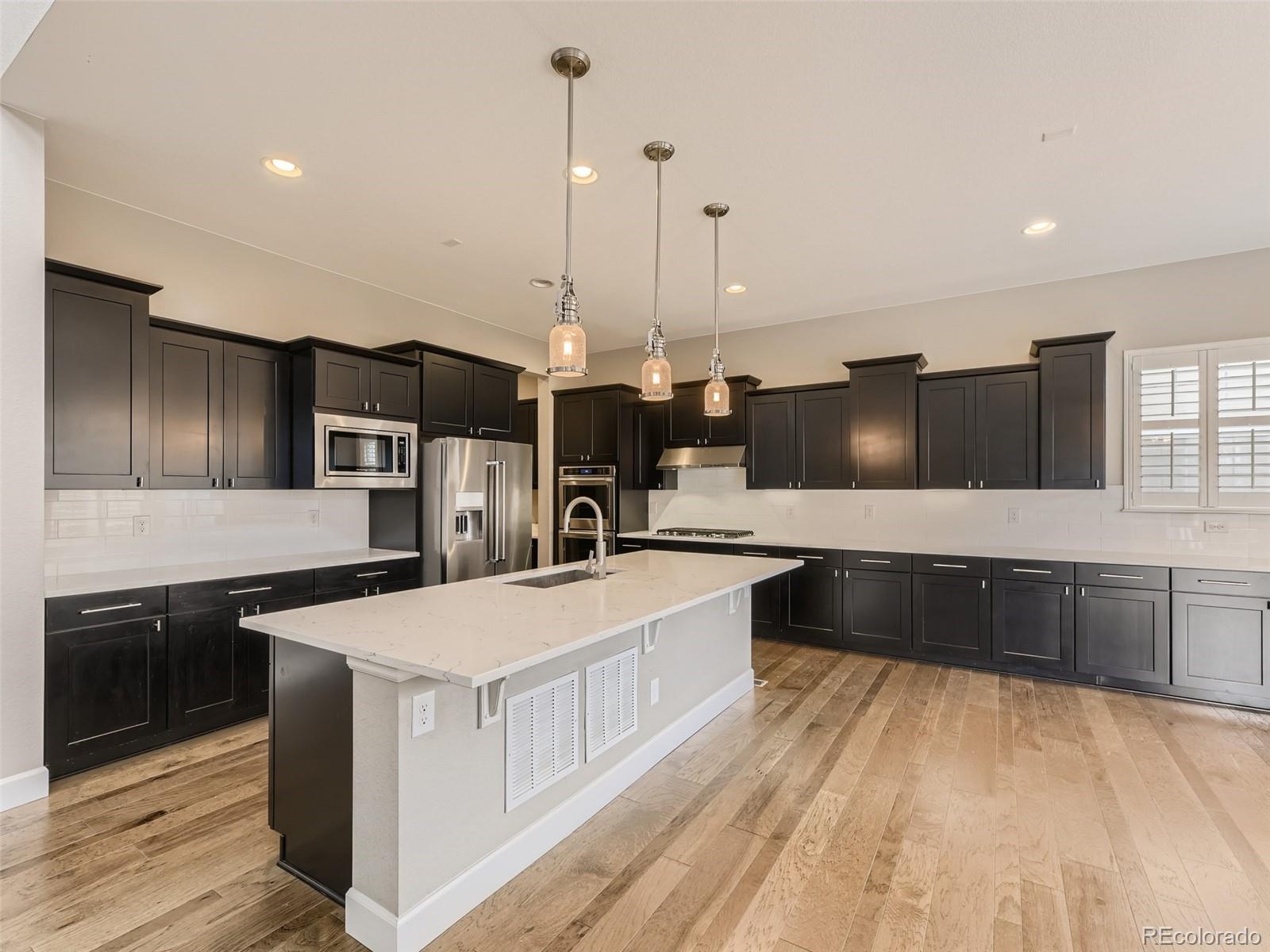 MLS Image #8 for 10251  concordia street,parker, Colorado
