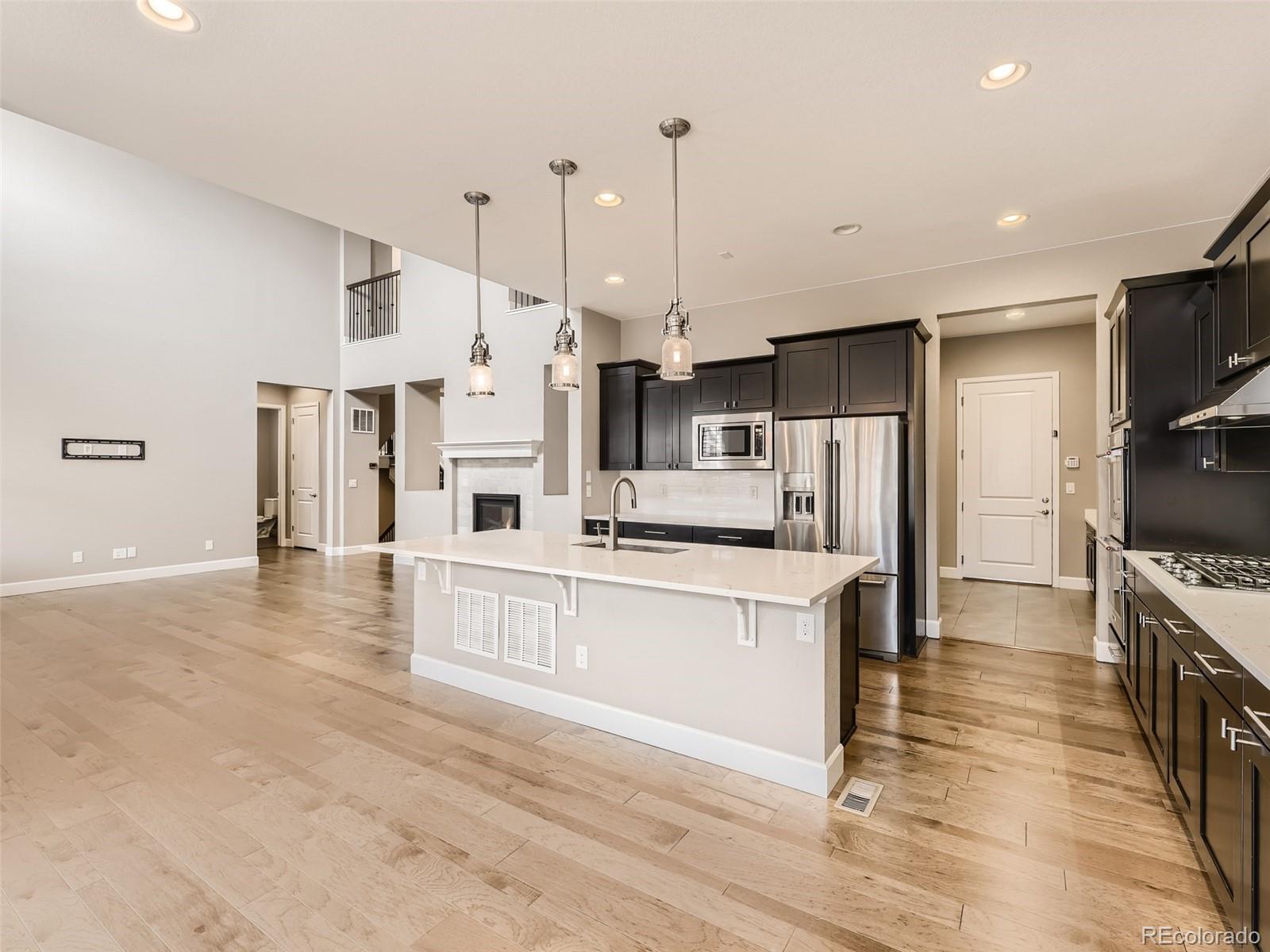 MLS Image #9 for 10251  concordia street,parker, Colorado