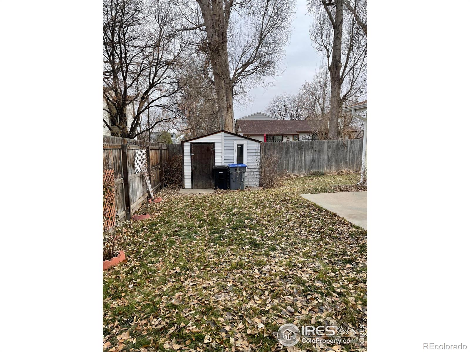 MLS Image #14 for 1332  collyer street,longmont, Colorado