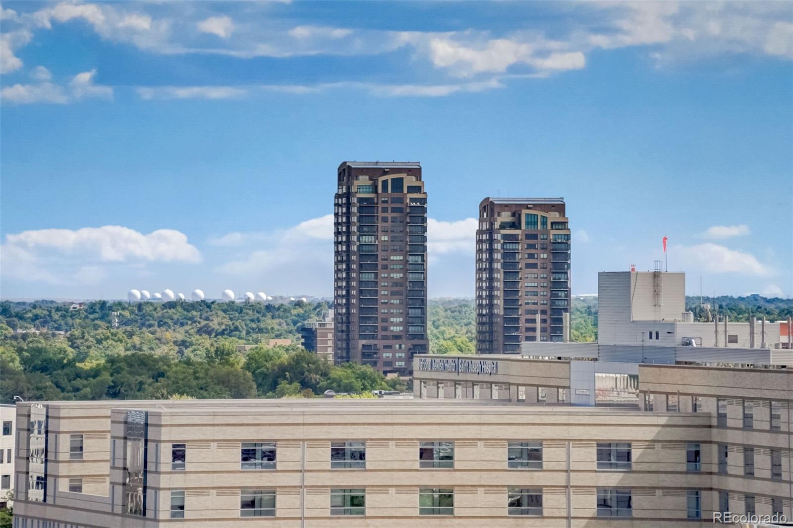 MLS Image #8 for 100  park avenue 1605,denver, Colorado