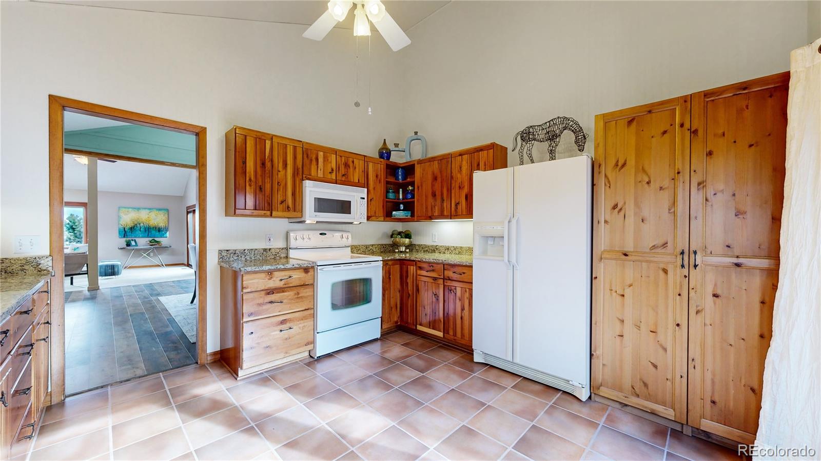 MLS Image #10 for 4493  juniper court,larkspur, Colorado