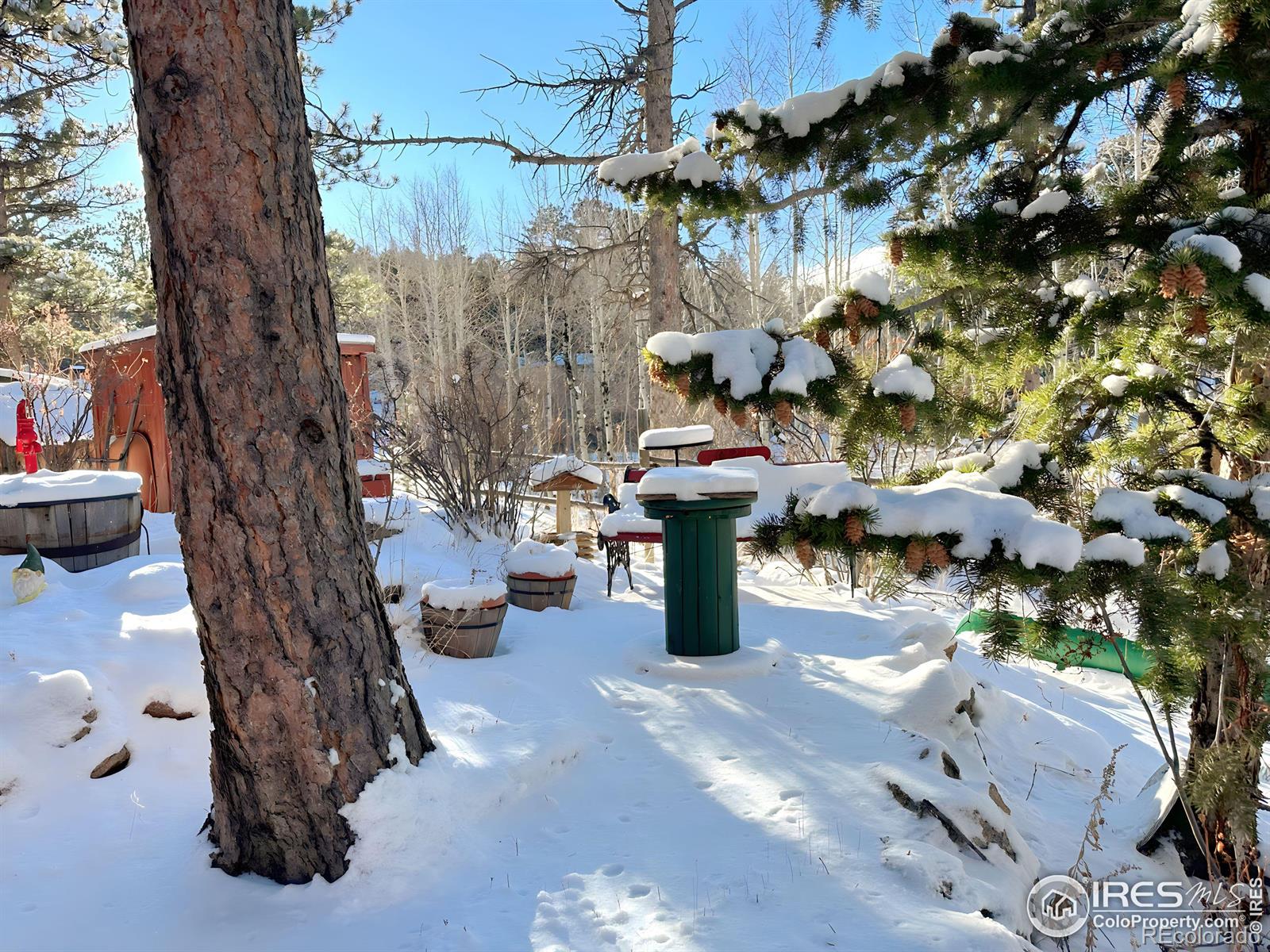 MLS Image #23 for 621  nokomis road,red feather lakes, Colorado