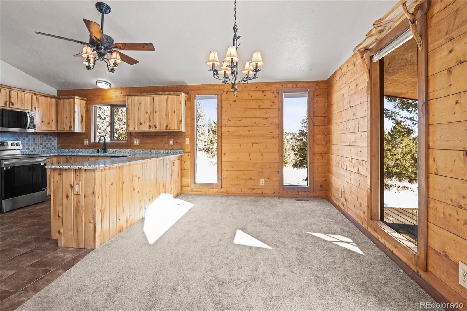 MLS Image #20 for 170  hummingbird court,bailey, Colorado