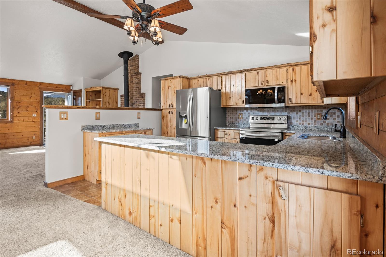 MLS Image #5 for 170  hummingbird court,bailey, Colorado