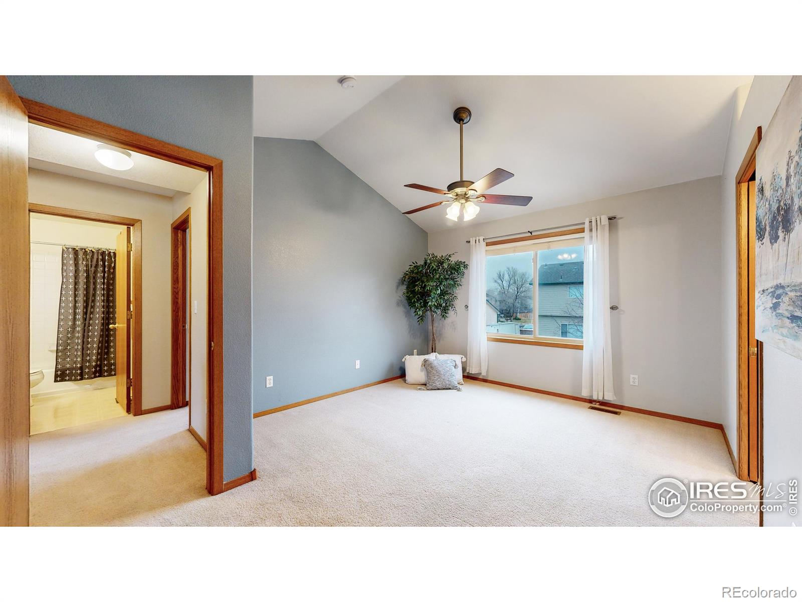 MLS Image #19 for 2424  anemonie court,loveland, Colorado