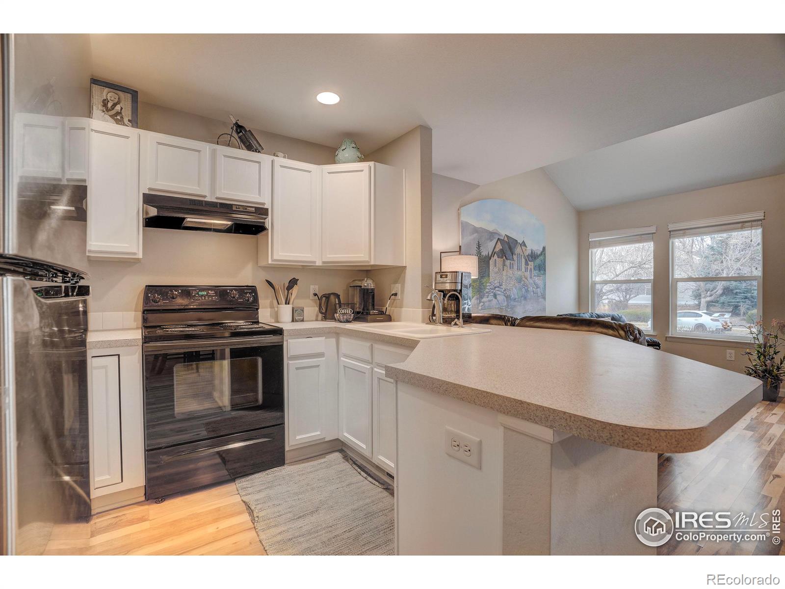 MLS Image #12 for 4012  plum creek drive,loveland, Colorado