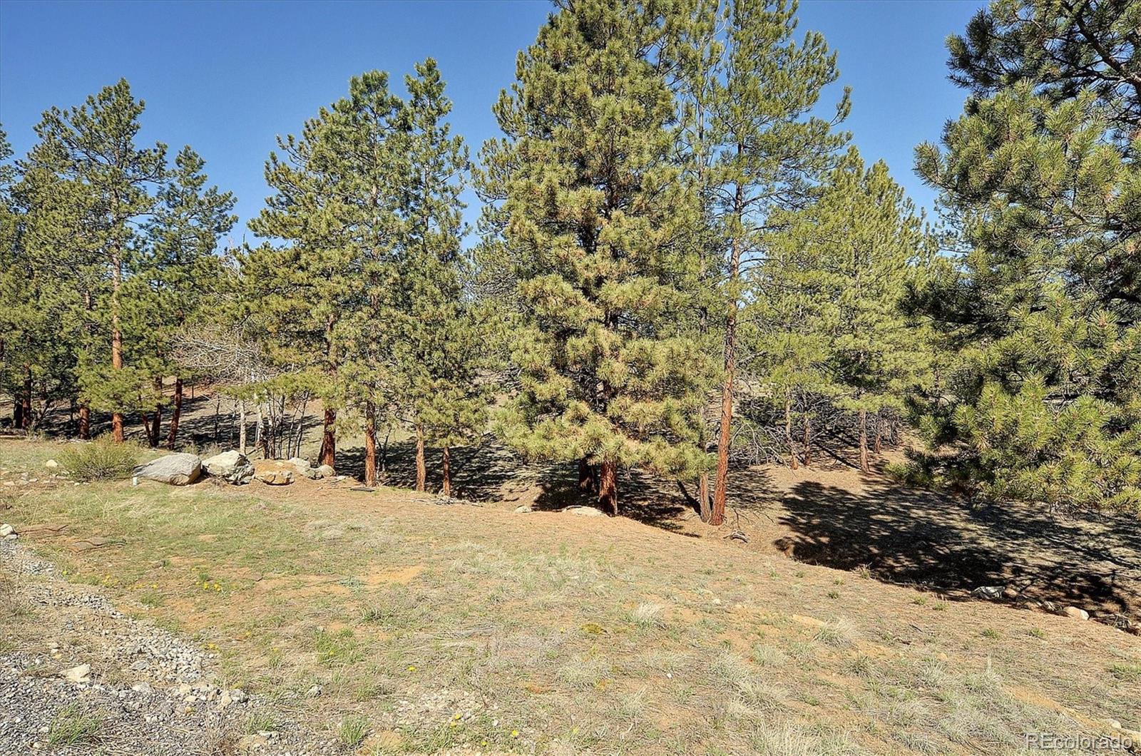 MLS Image #47 for 30611  main range drive,buena vista, Colorado