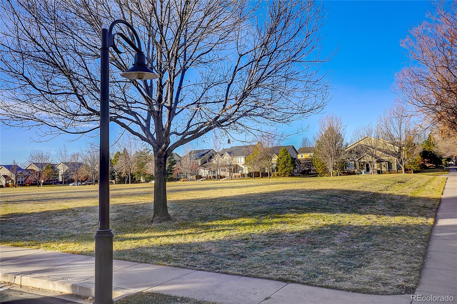 MLS Image #35 for 2802  autumn harvest way,fort collins, Colorado