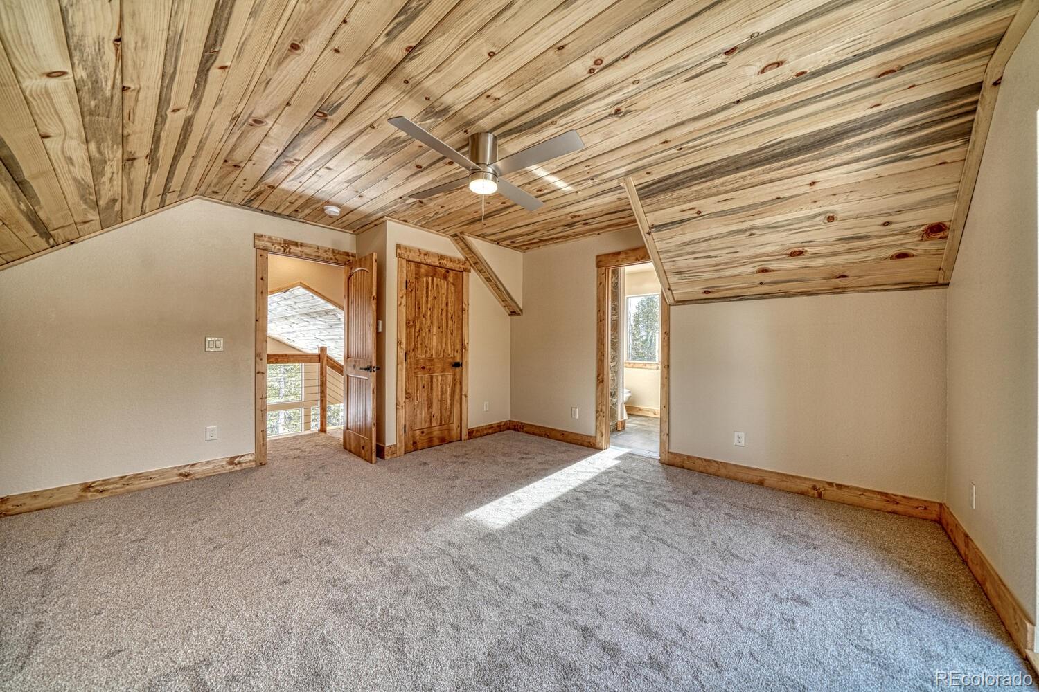 MLS Image #21 for 526  porcupine road,fairplay, Colorado