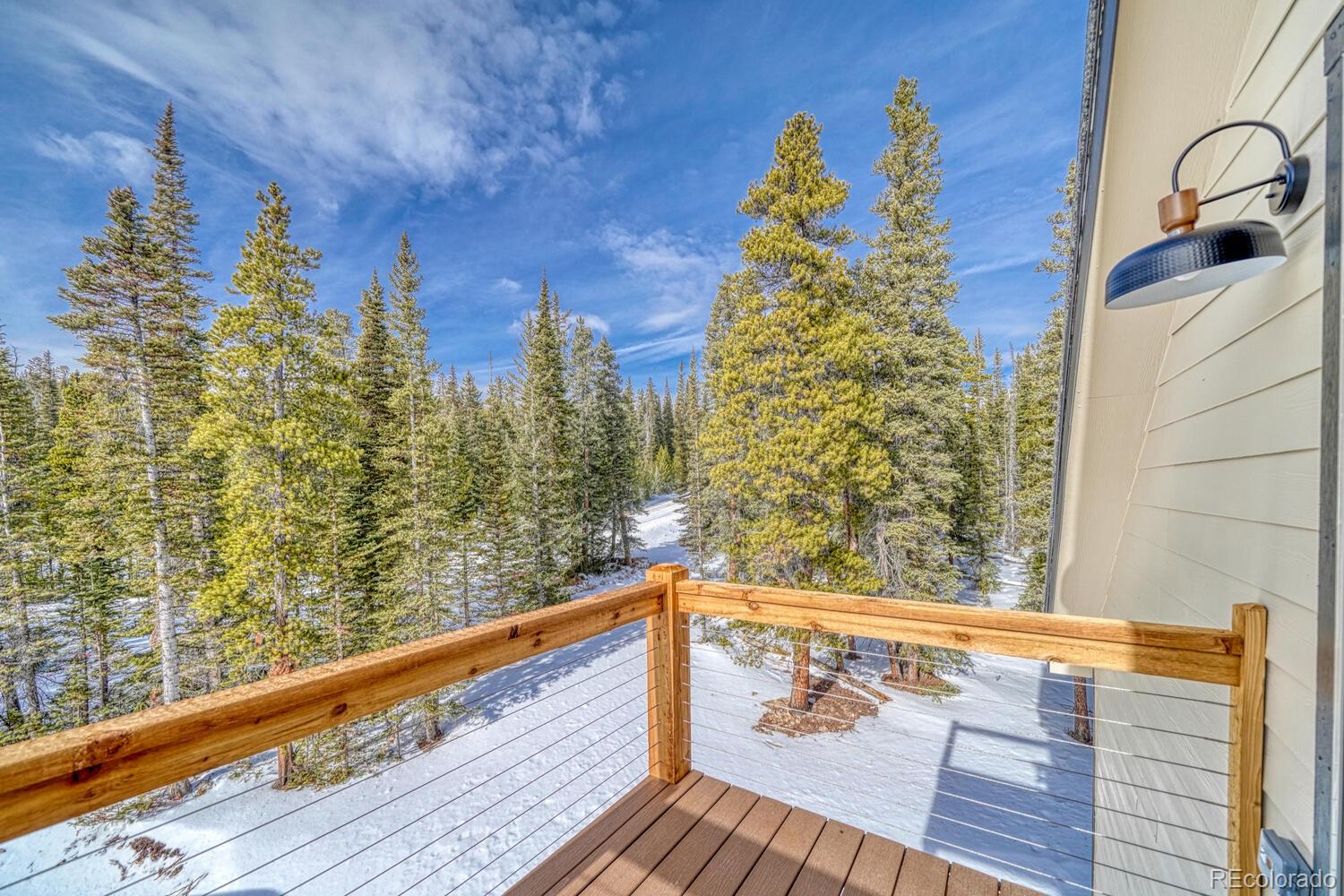 MLS Image #24 for 526  porcupine road,fairplay, Colorado