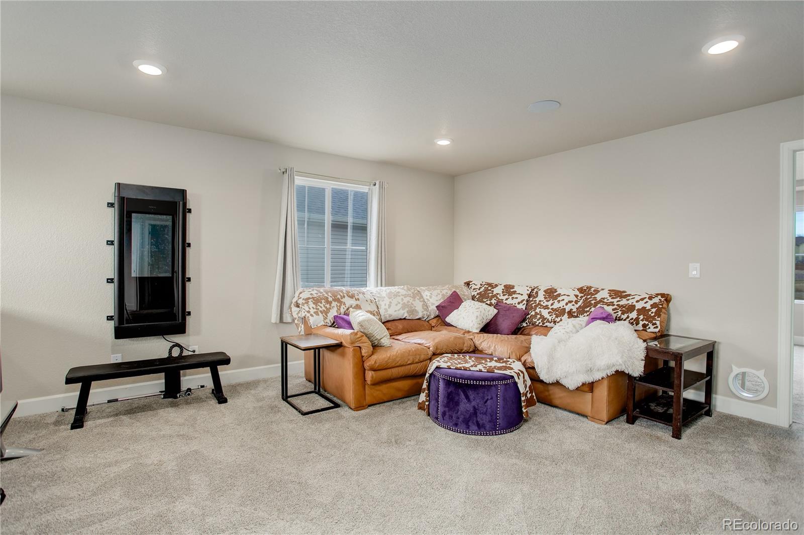 MLS Image #17 for 17449 e 103rd place,commerce city, Colorado