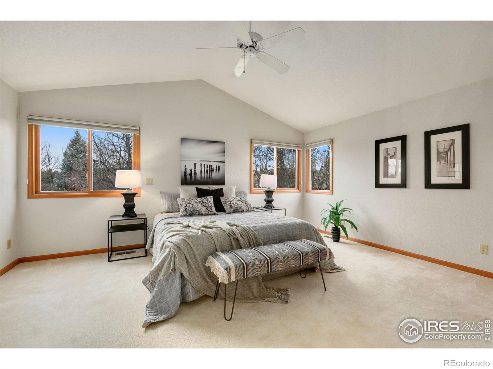 MLS Image #11 for 2606  brownstone court,fort collins, Colorado