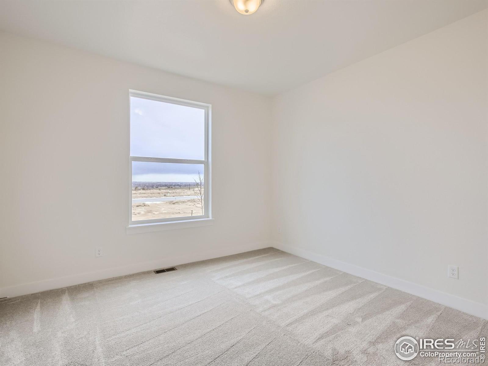 MLS Image #11 for 1836  golden sun drive,windsor, Colorado