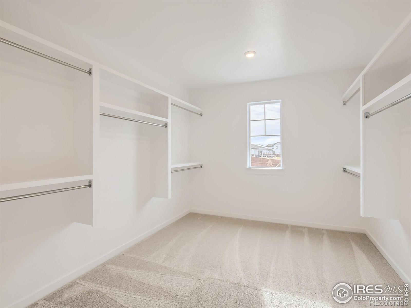 MLS Image #16 for 1836  golden sun drive,windsor, Colorado