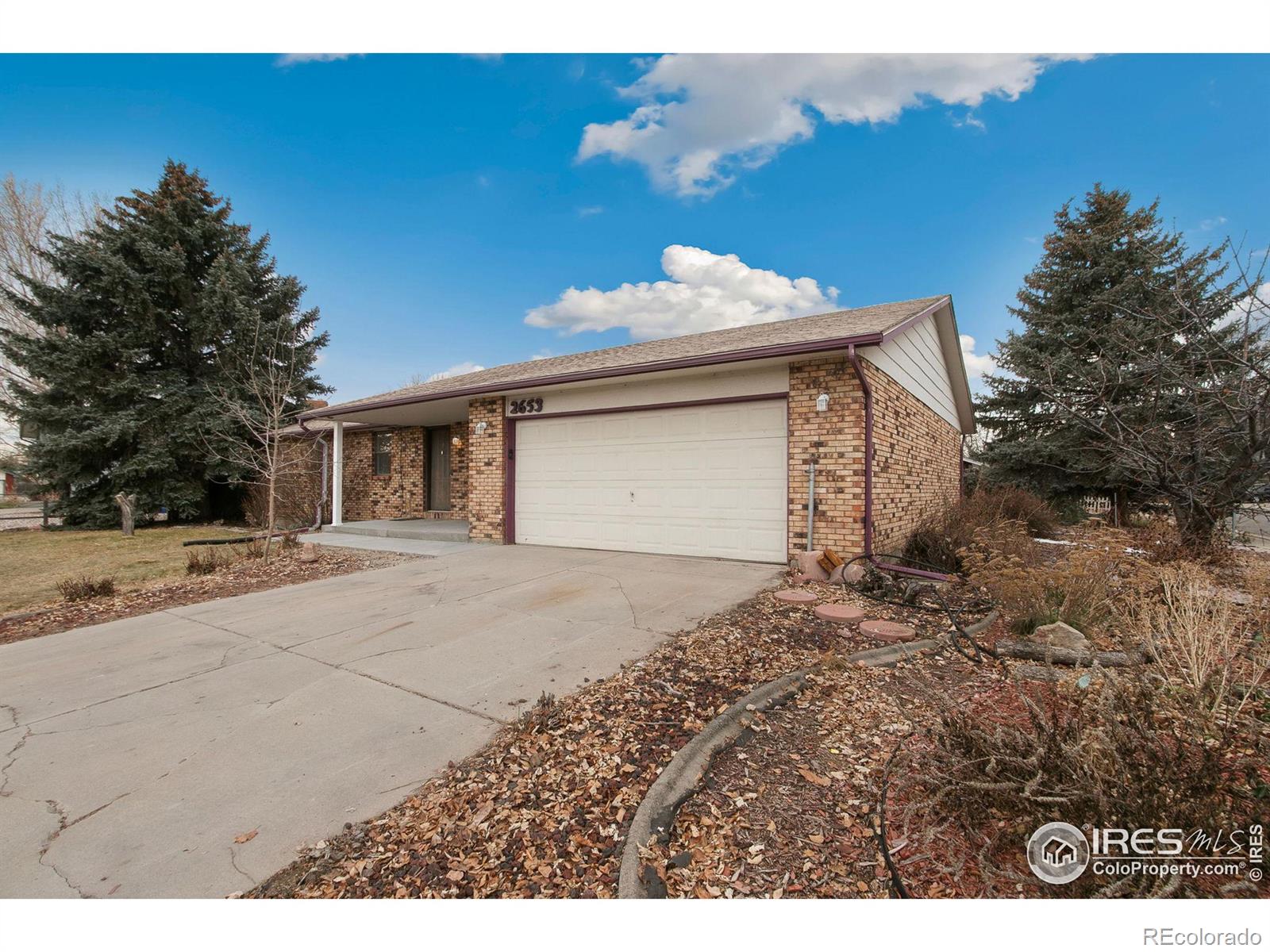 MLS Image #2 for 2653  frederick drive,loveland, Colorado