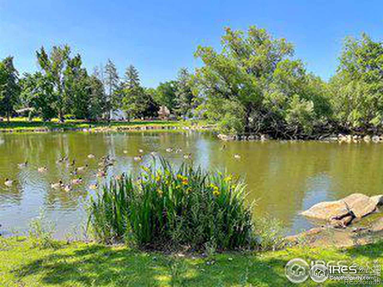 MLS Image #37 for 1209  cranford place,greeley, Colorado